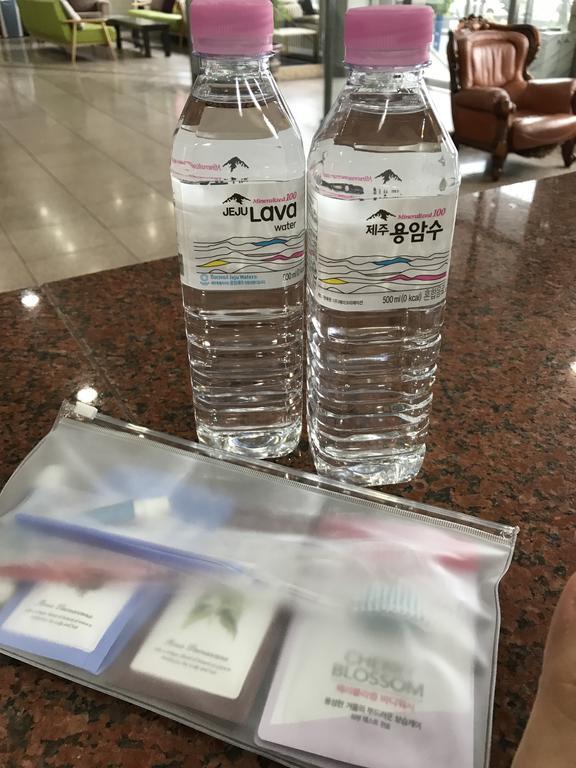 Jeju Seoul Tourist Hotel Bagian luar foto